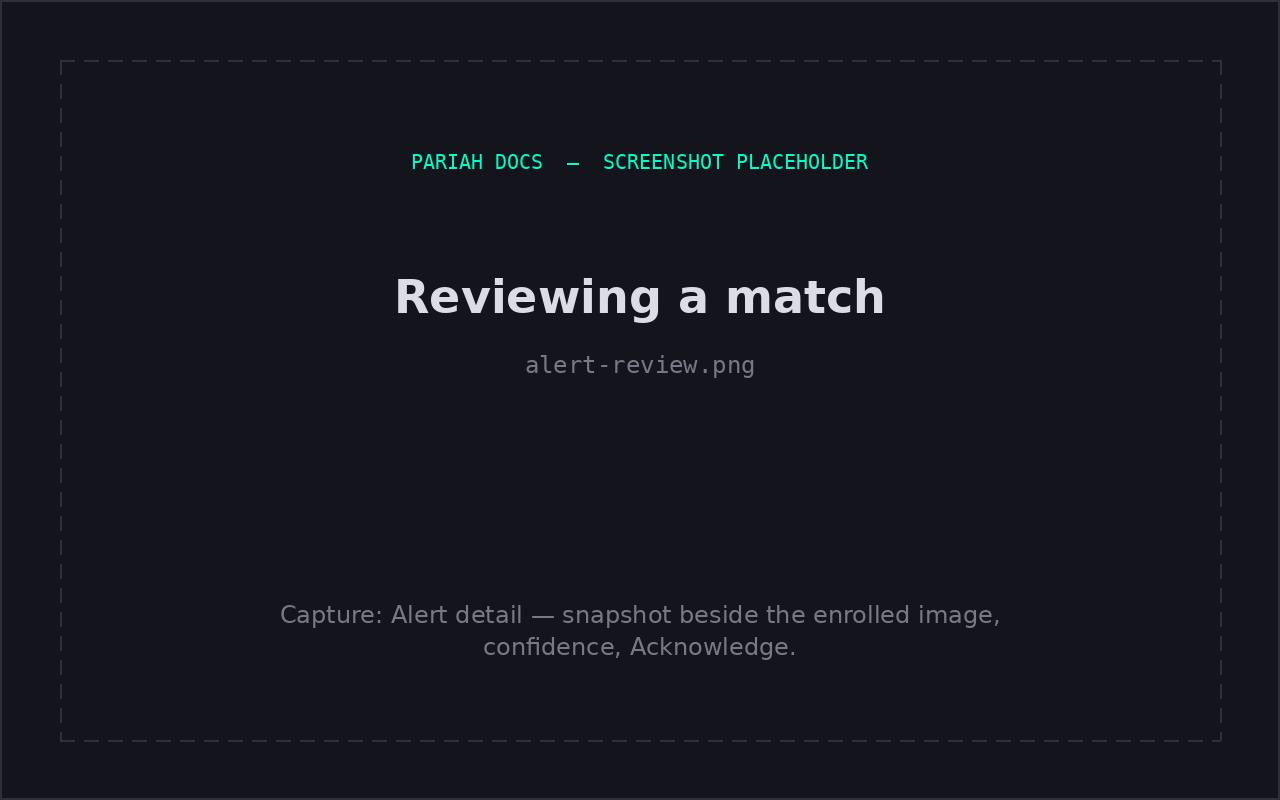 Reviewing a match