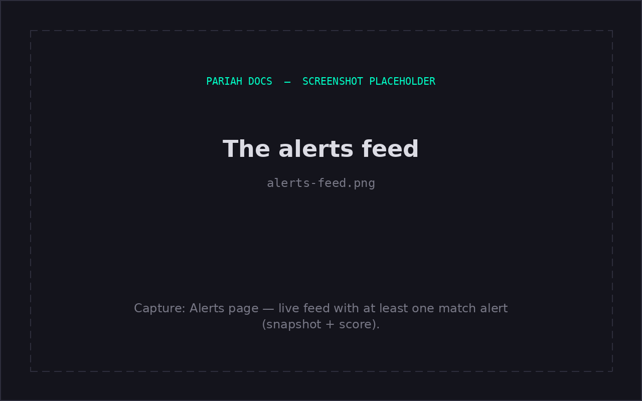 The alerts feed